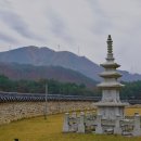적광사 티스토리