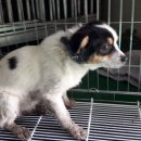 여수주유소 (앞) 이미지