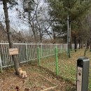 소야리 광장(고속도로 밑) | 여수애견동반 애개여행으로 여수 다녀온 1박2일 다녀온 찐후기 1일차 (+간 곳, 먹은 것)