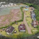 제부 포레스트 이미지