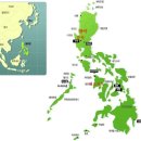 내가 가본 필리핀의 주요 도시들 소개 이미지