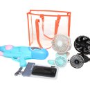 모닝글로리 이미지