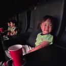 9월 15일 - 영화관람 '퍼피구조대 더 다이노무비' 이미지