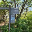 남목신발 이미지