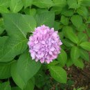 능안공원 이미지