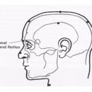 양태극권 이미지