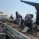 테마와 하루(해양생태 체험) 이미지