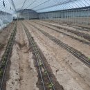 신기녹색농촌체험마을 이미지