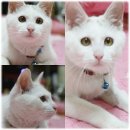 스타넷 PC방 이미지