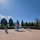 순천만의 추억 | 아이랑 순천가을여행 순천만국가정원 필수코스