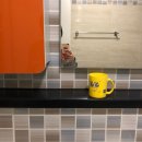 팬션 패트로누스 이미지