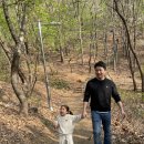 서윤의숲길 이미지