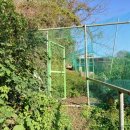 구구랜드 실키팜 이미지