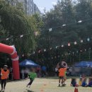 등마초등학교 이미지