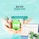 손정수가구 | 안양신축빌라 월세, 정보 대란!