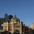 홍대웰빙푸드 | 20251016 - 멜버른 1일차 (세인트킬다, 호저레인스트리트, 로컬와인바)