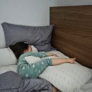 대구 아이랑 모임하기 좋은 '도담도담 키즈카페' 대관 후기
