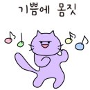 뷰티셀