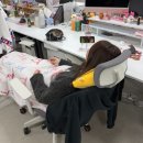 꽃보다예쁘개 | 📁26.03. 일본여행을 곁들인 일상