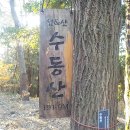 장흥정자마을회관 | 통영 용초도(용호도) 수동산 등산코스 호두 선착장 방향 등산로는 비추