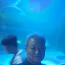 25.10/7(화)벨루가 이미지