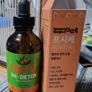 미애네집 | [길고양이] 미애 구내염 수술 후기