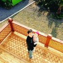 바다나무 민박 이미지