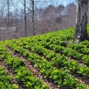 종명농장 이미지