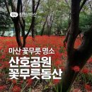 산호동136 이미지