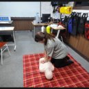 아이쪼아 이미지