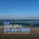 e푸른수산 | I 수도권기준 최고의 접근성과 가성비, 솔숲과 푸른바다를 품은 가성비 캠핑장 [feat. 두딸과 아빠의...
