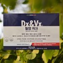 혈액순환 영양제 덱스벡스(Dx&amp;Vx) 혈행케어 콜레스테롤 영양제 추천