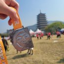 도토리민박 | 경주벚꽃마라톤 축제 뚜벅이여행 게스트하우스 도토리하우스
