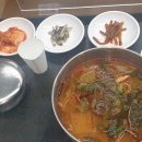 푸르고IM 이미지