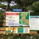 산아래글램핑 이미지