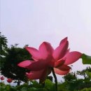 세미안 - 고양시 일산동구 | 세미안