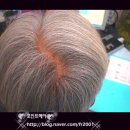 사직2동-26 이미지