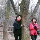 초우농장 이미지