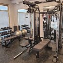 스쿼트게러지 이미지