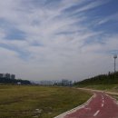 갑천우안도로 이미지