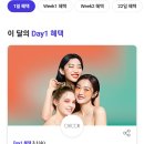 티데이 3/1 오늘 하루 시코르 30퍼센트, 폴바셋 50퍼센트 이미지