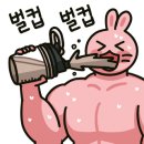 타우짐 네이버블로그