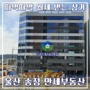 만세부동산공인중개사사무소 이미지