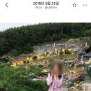 대동안마자압원 | [다이어트] 다낭성증후군/지방간/간수치,혈압높음/13kg 감량 다이어트 후기(광고X)