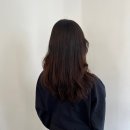 신논현 미용실 추천! 어몽헤어 강남점 오주아 클리닉 대만족 (장마철 푸석한 머리 해결)