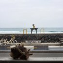 농협하나로마트 수변점 맞은편 | 나 혼자 제주공항에서 함덕, 세화까지(해녀김밥, 서우봉, 카페공작소, 세화밖거리, 구좌농협 하나로마트)