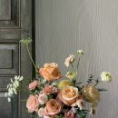 보태니컬 플랜(Botanical Plan) 이미지