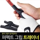 퍼펙트그립