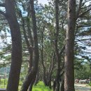펜캠2495체험학교 티스토리