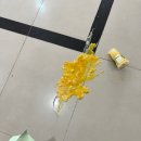 [북경어언대 교환학생] 8주 차 (240415 - 240421)